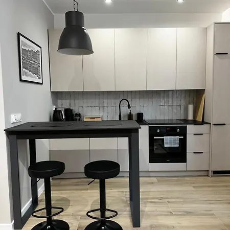 Silesian Loft * Ruda Slaska