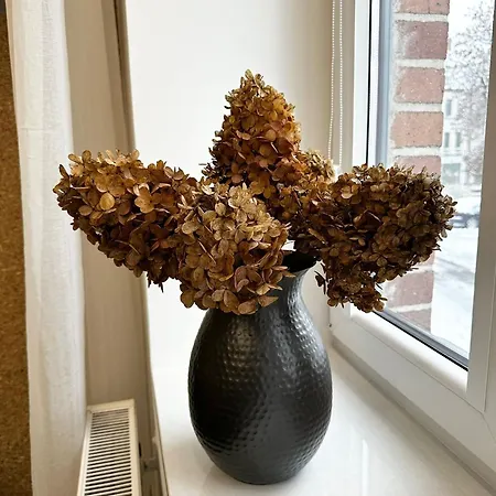 Apartamento Silesian Loft